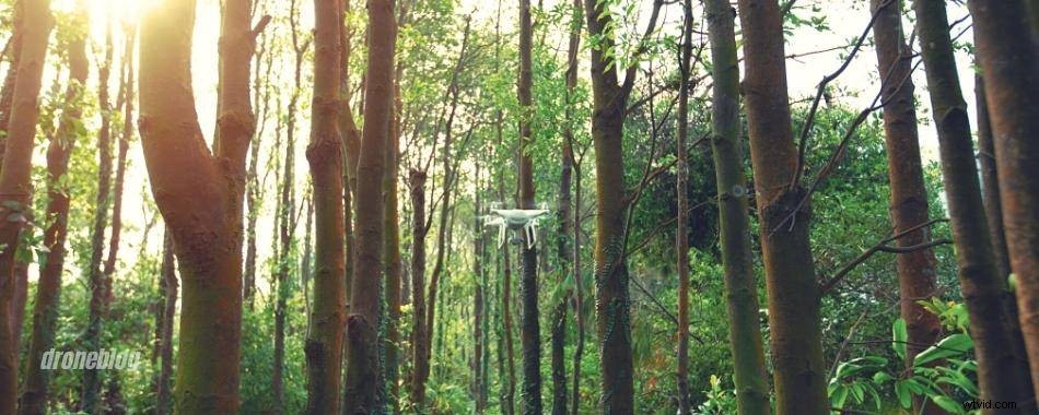 DJI Drone Obstacle Avoidance Explained: Beginner s Essential Guide