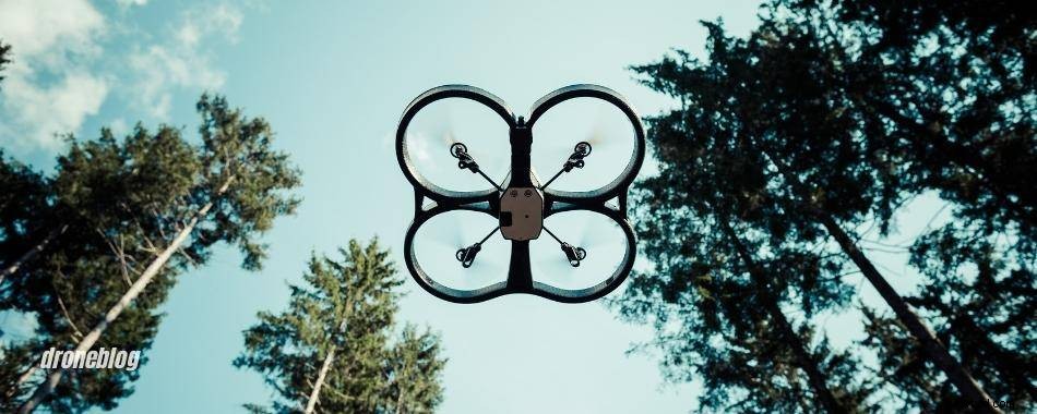 Do Trees Block Drone Signals? Essential Guide for Beginners
