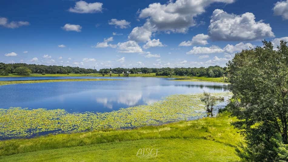 Drone Photography for Beginners: Complete Guide to Capturing Stunning Aerial Shots