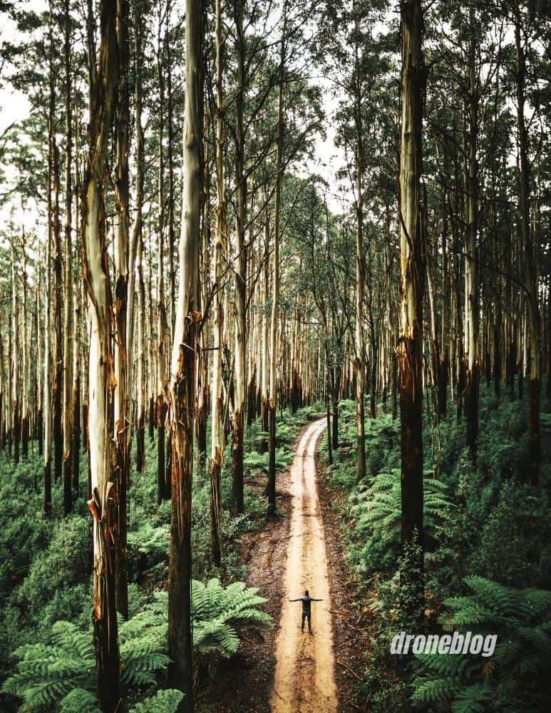 Beginner s Guide: How to Film Yourself with a Drone Effortlessly