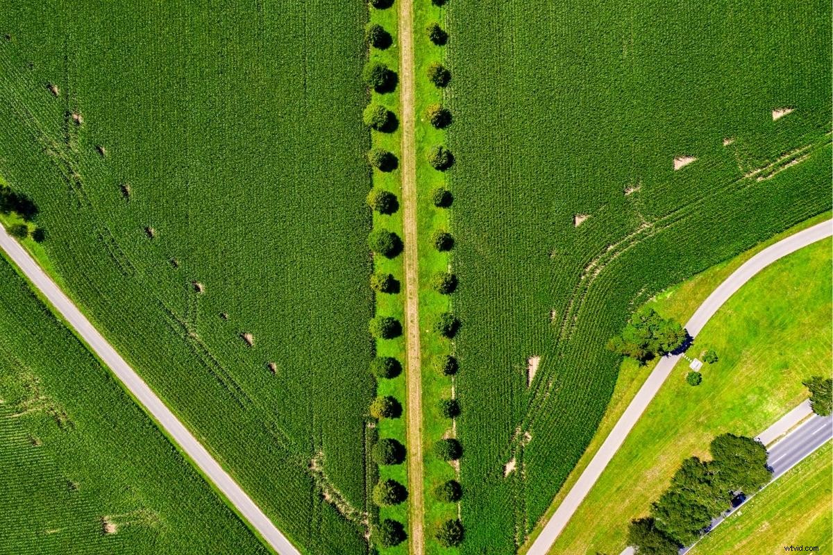 DJI Mini 2 Return to Home: Complete Guide and How It Works