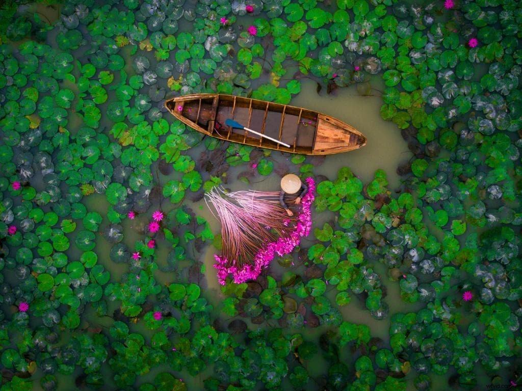 Stunning Drone Photography: Breathtaking Aerial Shots from Around the World