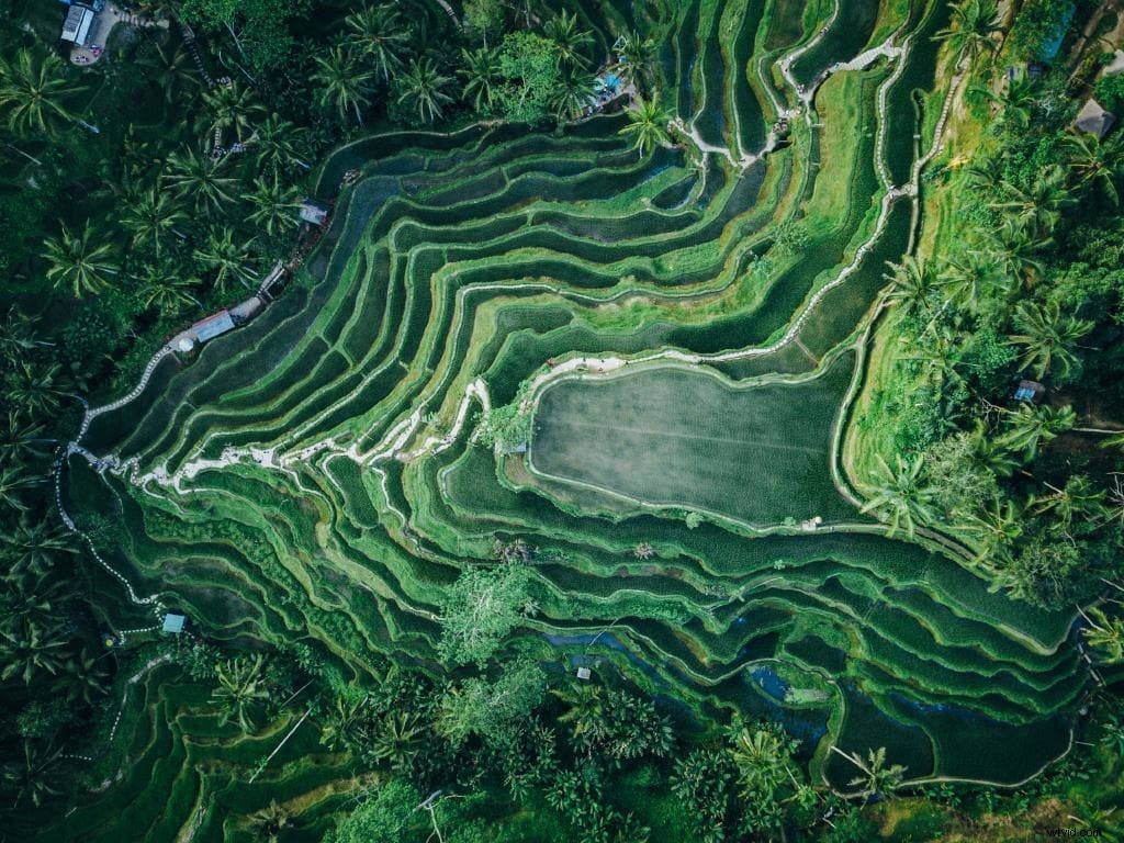 Stunning Drone Photography: Breathtaking Aerial Shots from Around the World