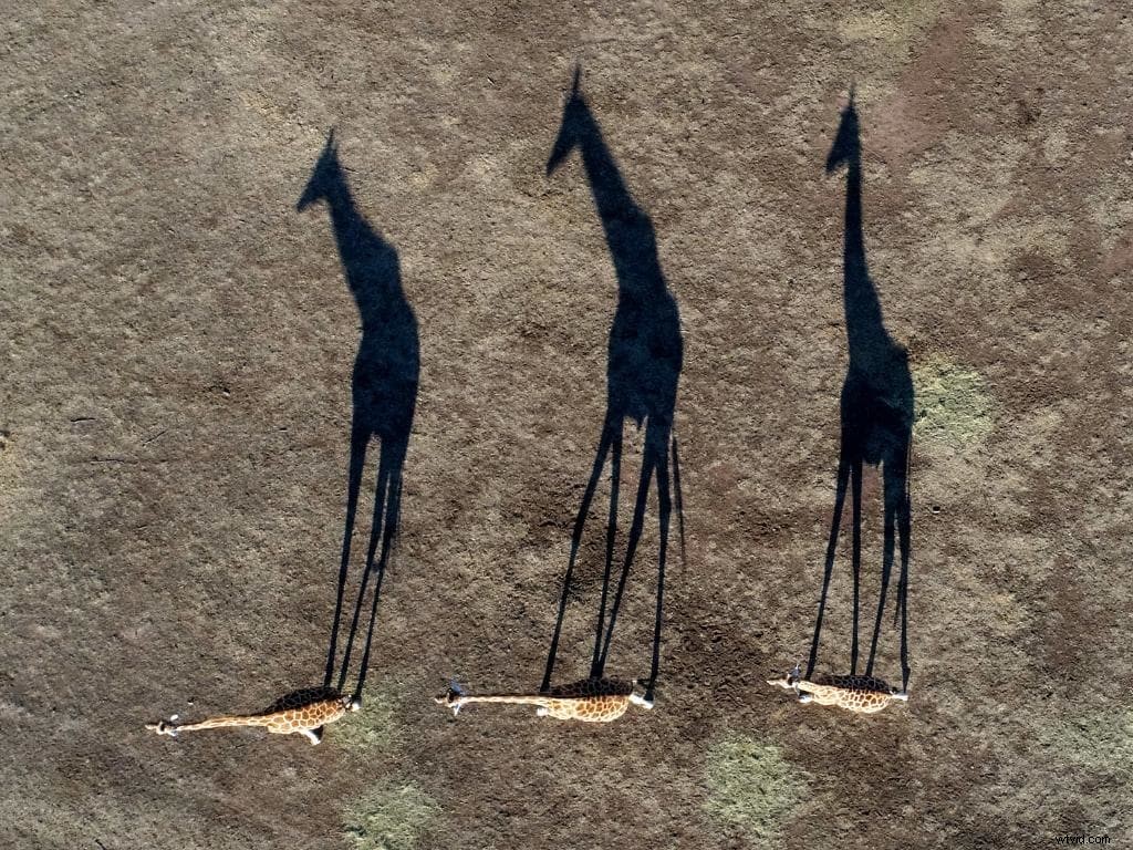 Stunning Drone Photography: Breathtaking Aerial Shots from Around the World