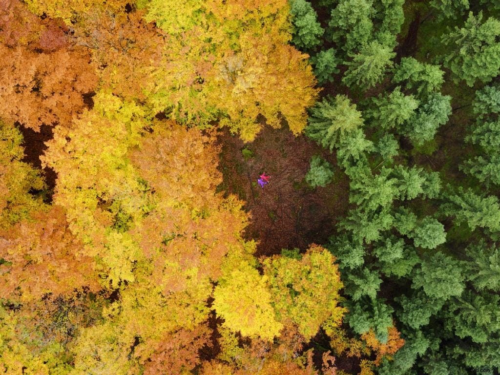 Stunning Drone Photography: Breathtaking Aerial Shots from Around the World