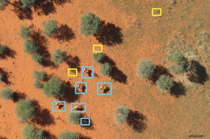 Drones Revolutionizing Wildlife Monitoring and Conservation
