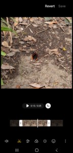 Edit Professional-Quality Videos on Your Phone: Ultimate Mobile Editing Guide