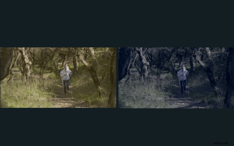 Master Color Theory: Elevate Your Video Production to Professional Levels