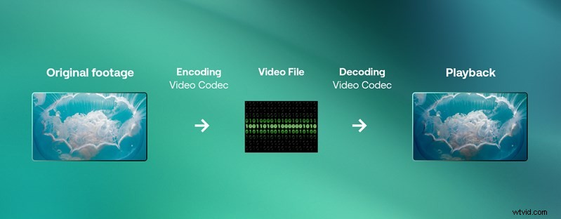 Video Codecs Explained: How to Choose the Best One for Your Production Workflow