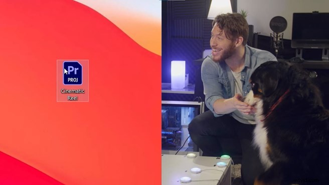 Train Your Dog to Edit Videos: Mental Stimulation for Injured Pups in Premiere Pro