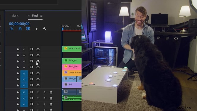 Train Your Dog to Edit Videos: Mental Stimulation for Injured Pups in Premiere Pro