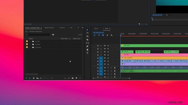 Train Your Dog to Edit Videos: Mental Stimulation for Injured Pups in Premiere Pro