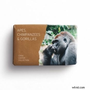 Craig Carter s Enduring Legacy: Australia s Master Sound Designer and Storyteller