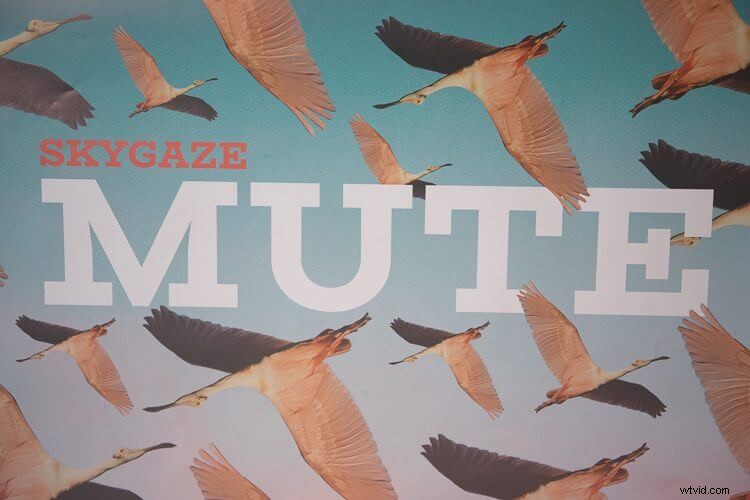 Master Immersive Foley Sound Effects: Pro ASMR Techniques for Videos