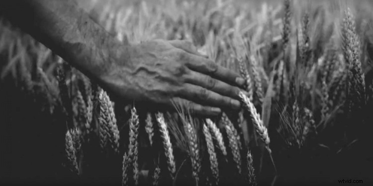 Master Authentic Vintage Effects for Your Footage in Adobe Premiere Pro