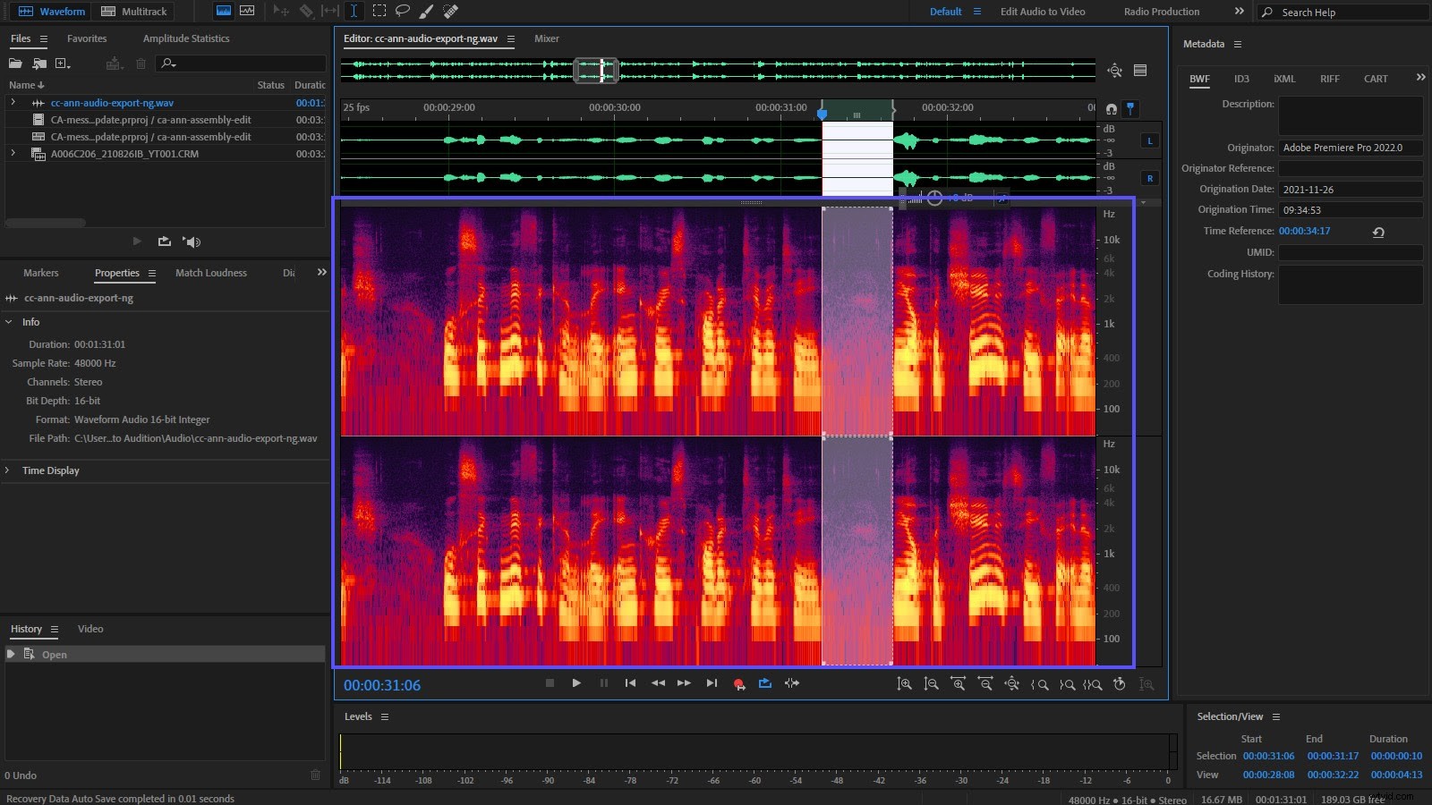 6 Essential Adobe Audition Tools to Streamline Premiere Pro Workflows