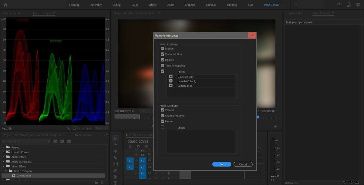 Mastering Premiere Pro Render Quality & Bit Depth Settings: The Essential Guide