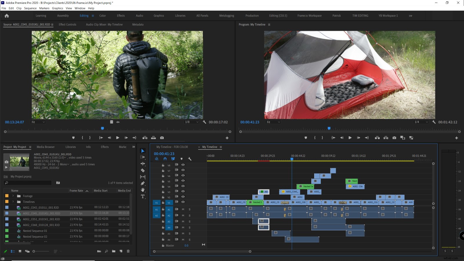 Expert Guide: Preparing Premiere Pro Projects for Seamless Color Grading