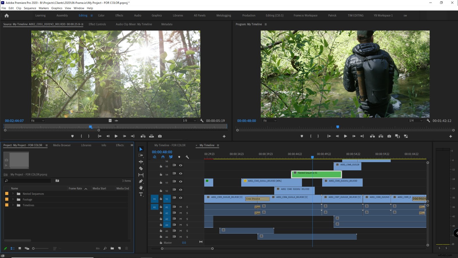 Expert Guide: Preparing Premiere Pro Projects for Seamless Color Grading