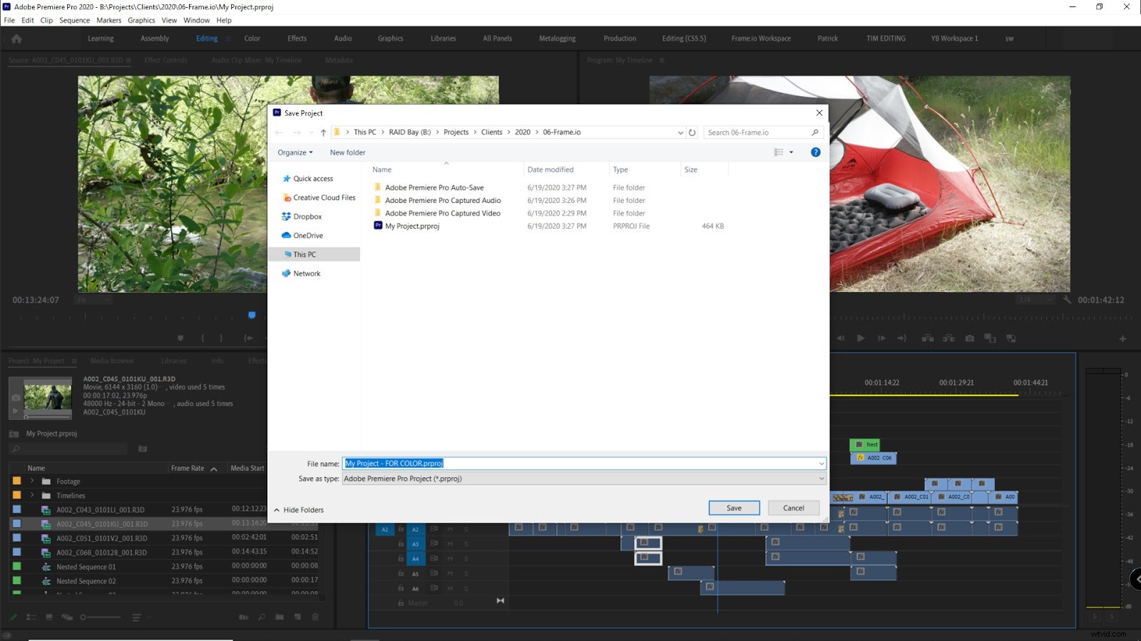 Expert Guide: Preparing Premiere Pro Projects for Seamless Color Grading
