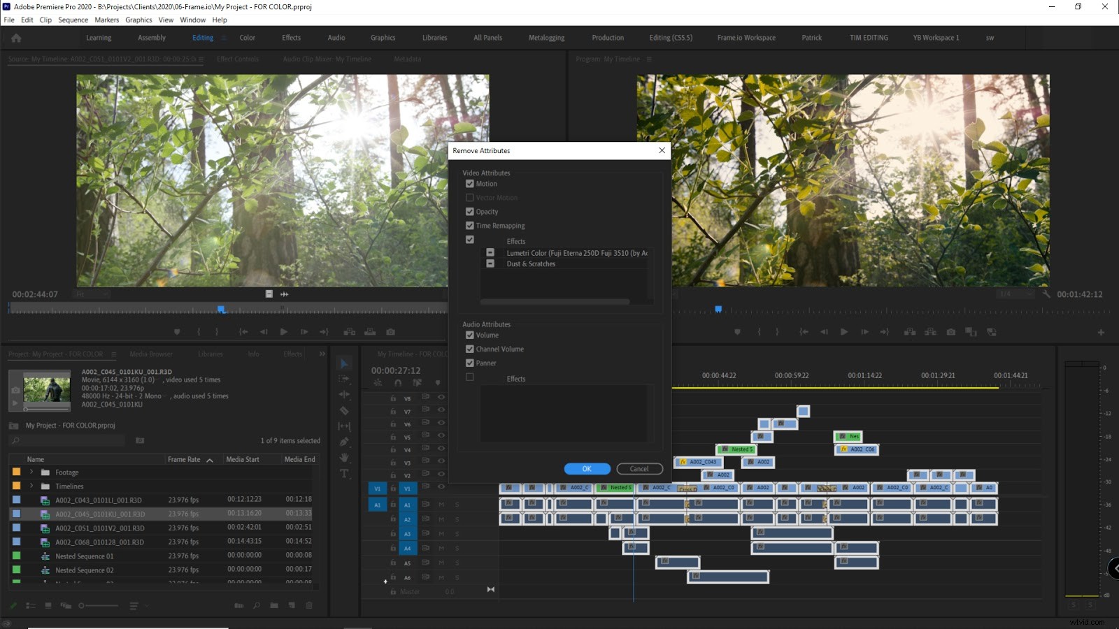 Expert Guide: Preparing Premiere Pro Projects for Seamless Color Grading
