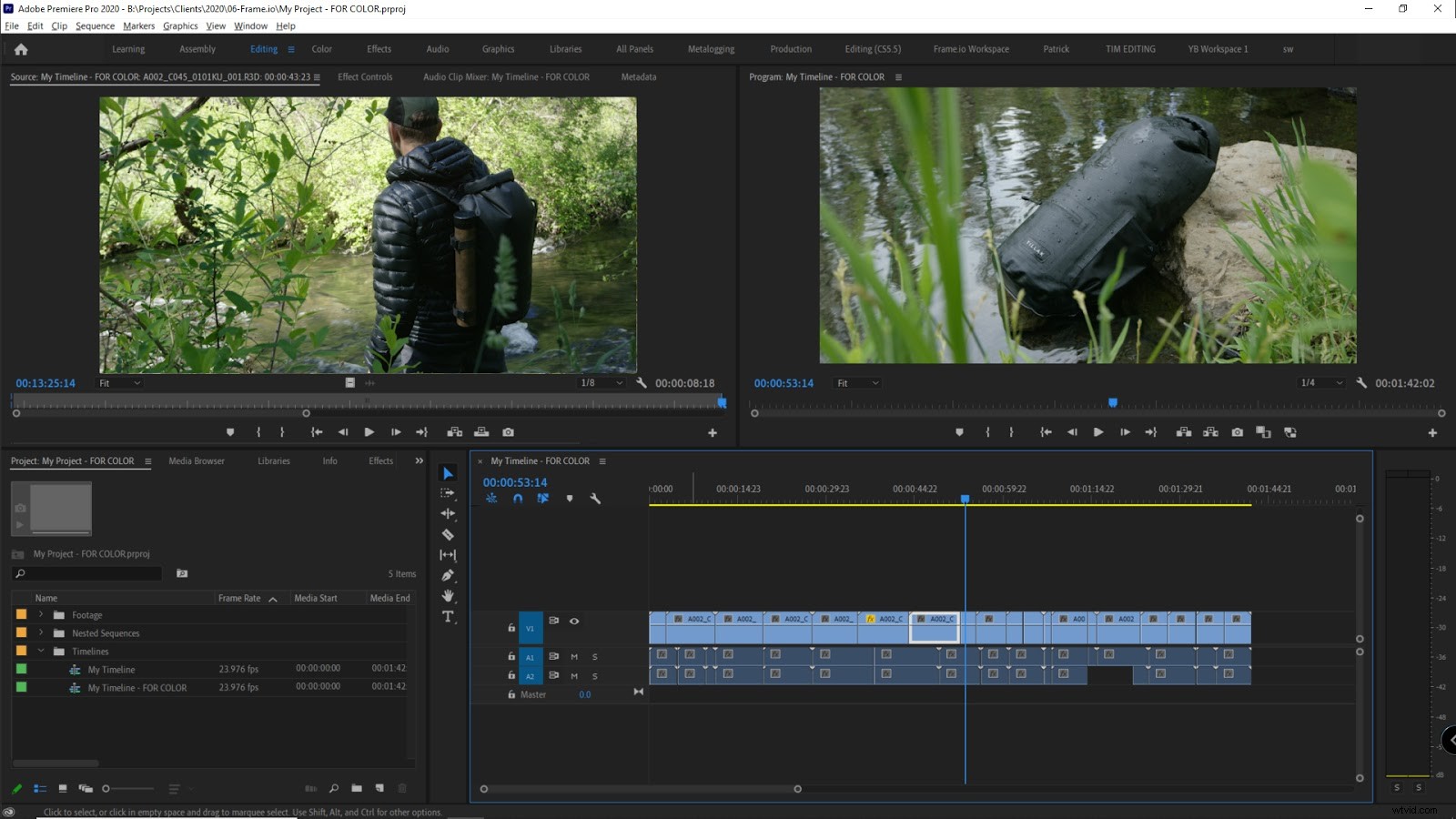 Expert Guide: Preparing Premiere Pro Projects for Seamless Color Grading