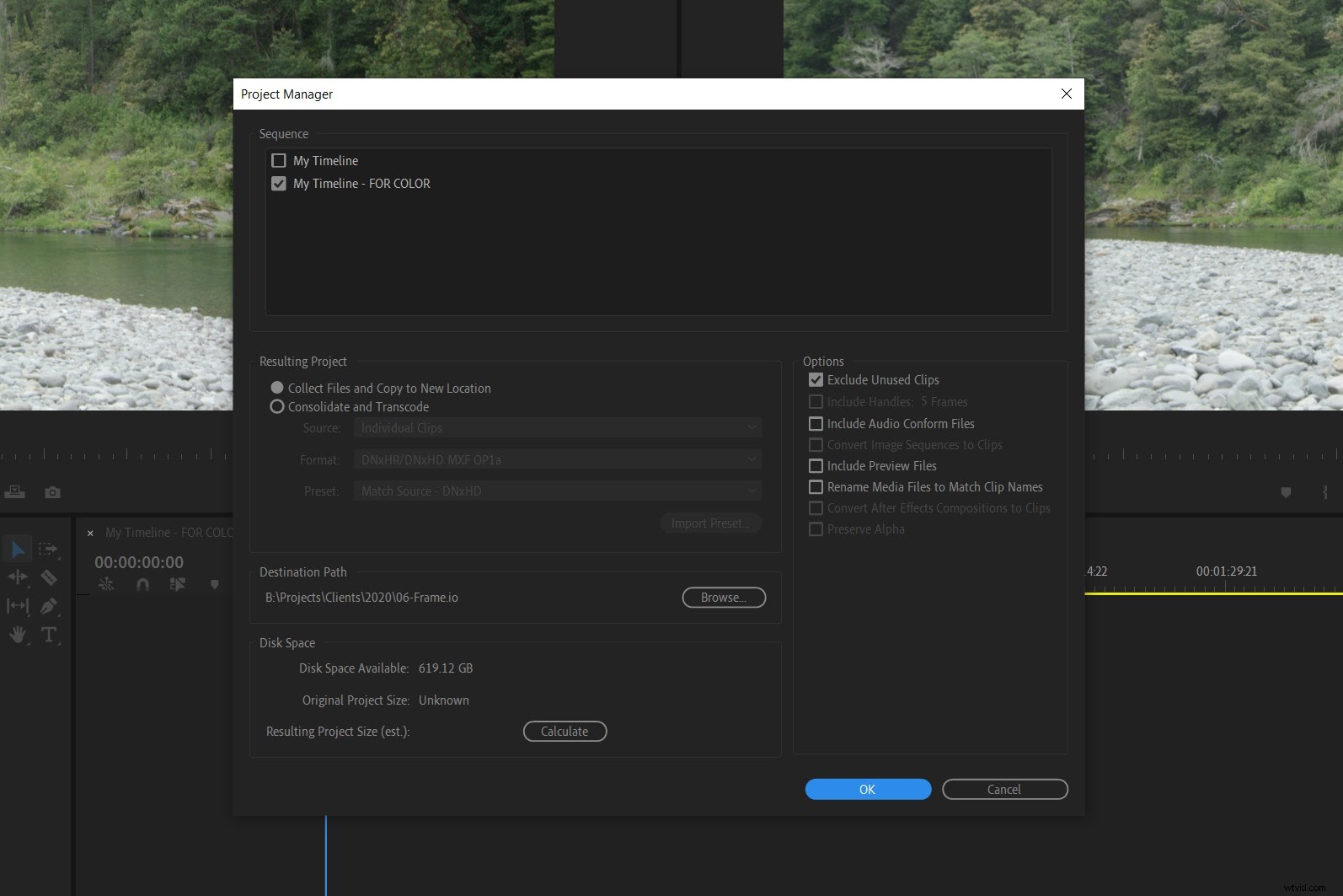 Expert Guide: Preparing Premiere Pro Projects for Seamless Color Grading
