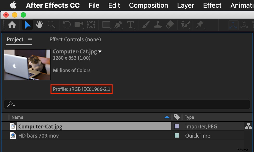 Essential Beginner s Guide to Color Management in Adobe Creative Cloud Apps