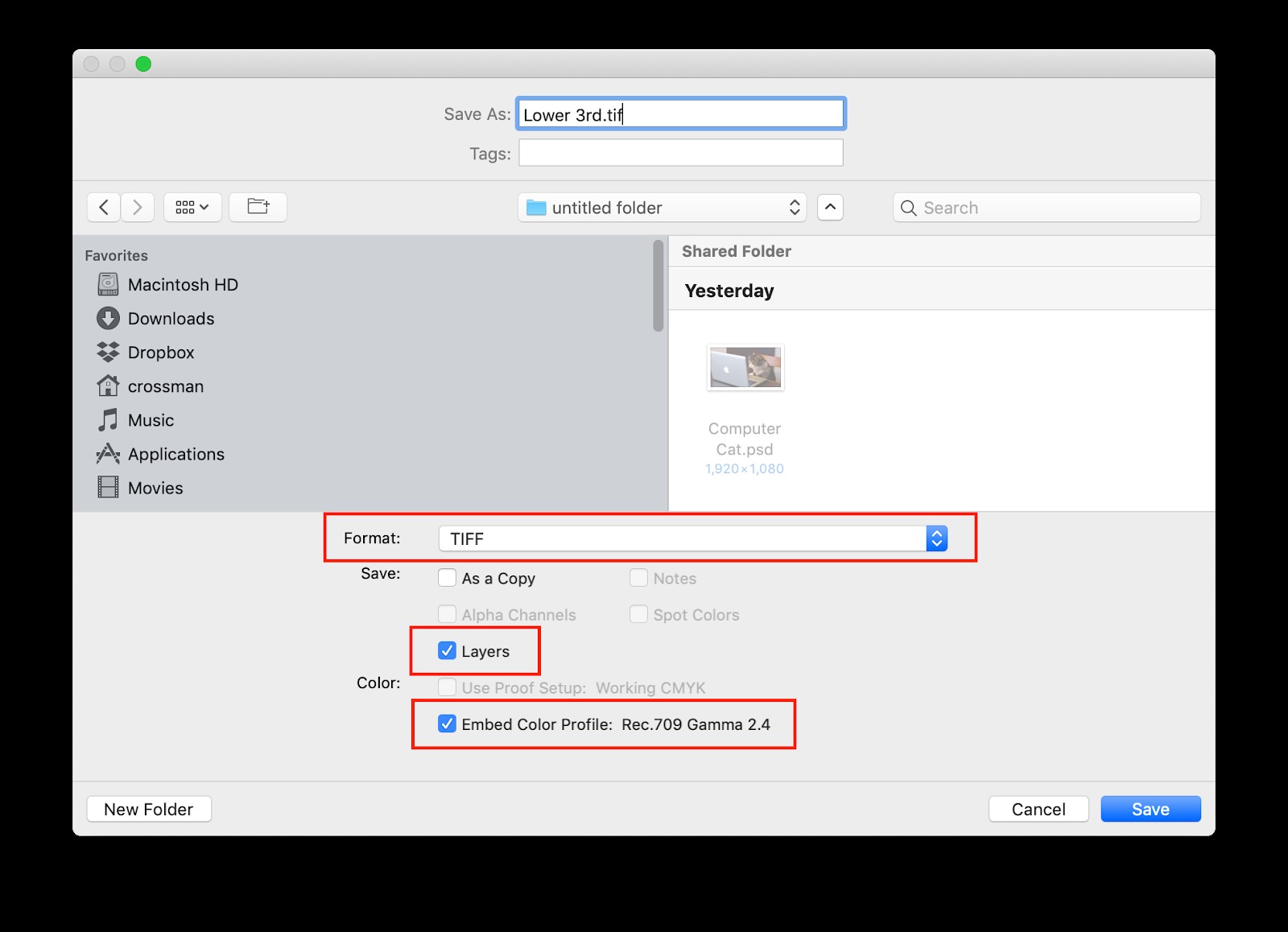 Essential Beginner s Guide to Color Management in Adobe Creative Cloud Apps