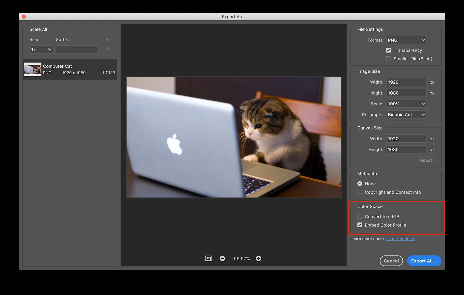 Essential Beginner s Guide to Color Management in Adobe Creative Cloud Apps