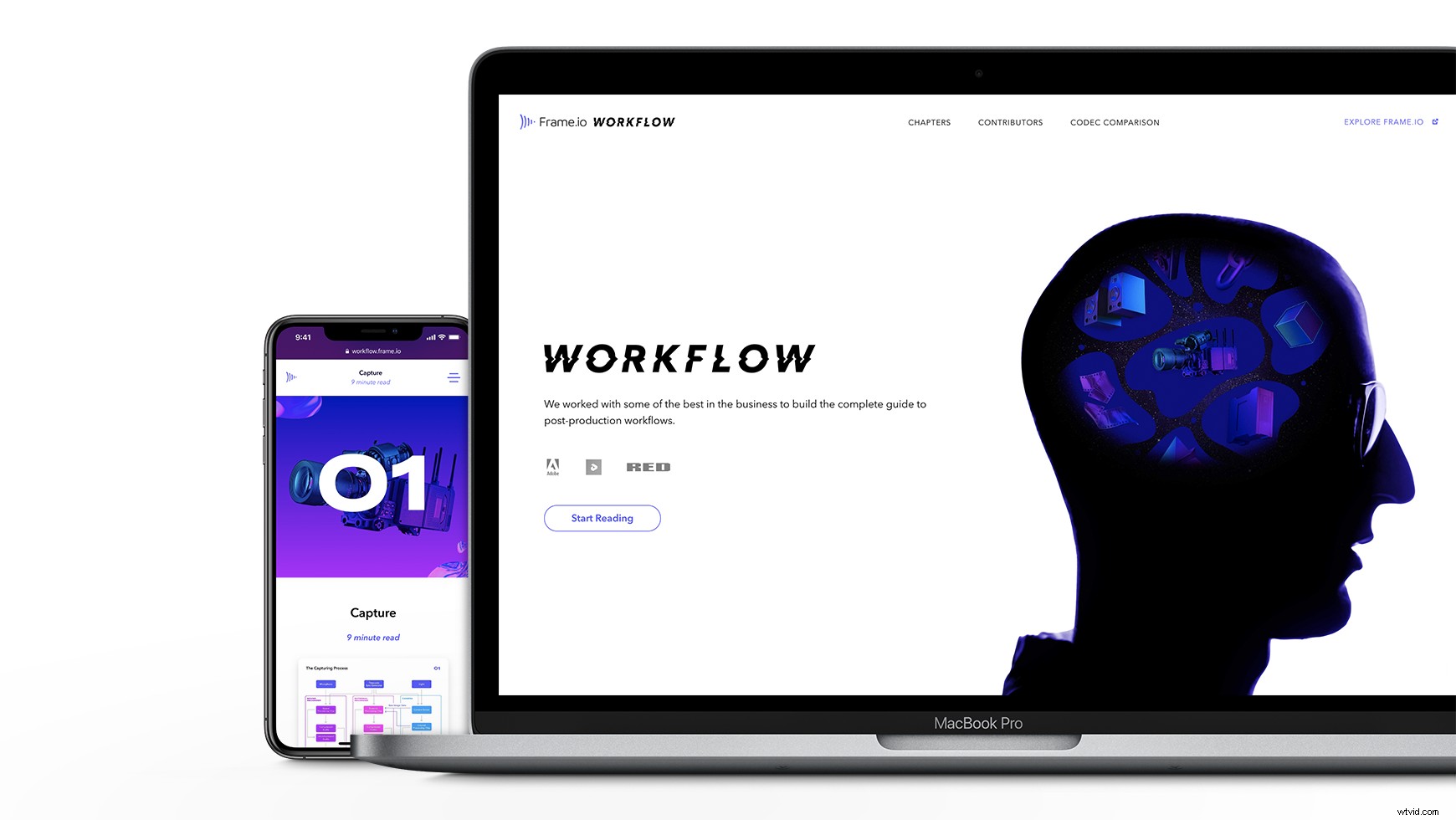 Essential Beginner s Guide to Color Management in Adobe Creative Cloud Apps