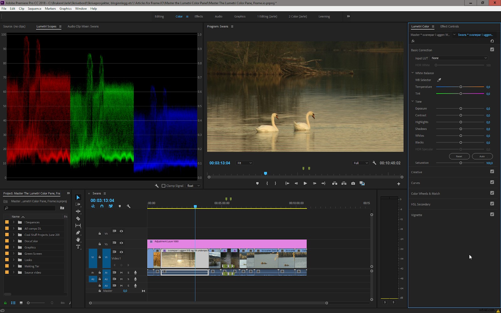 Master Color Correction in Adobe Premiere Pro: The Ultimate Guide