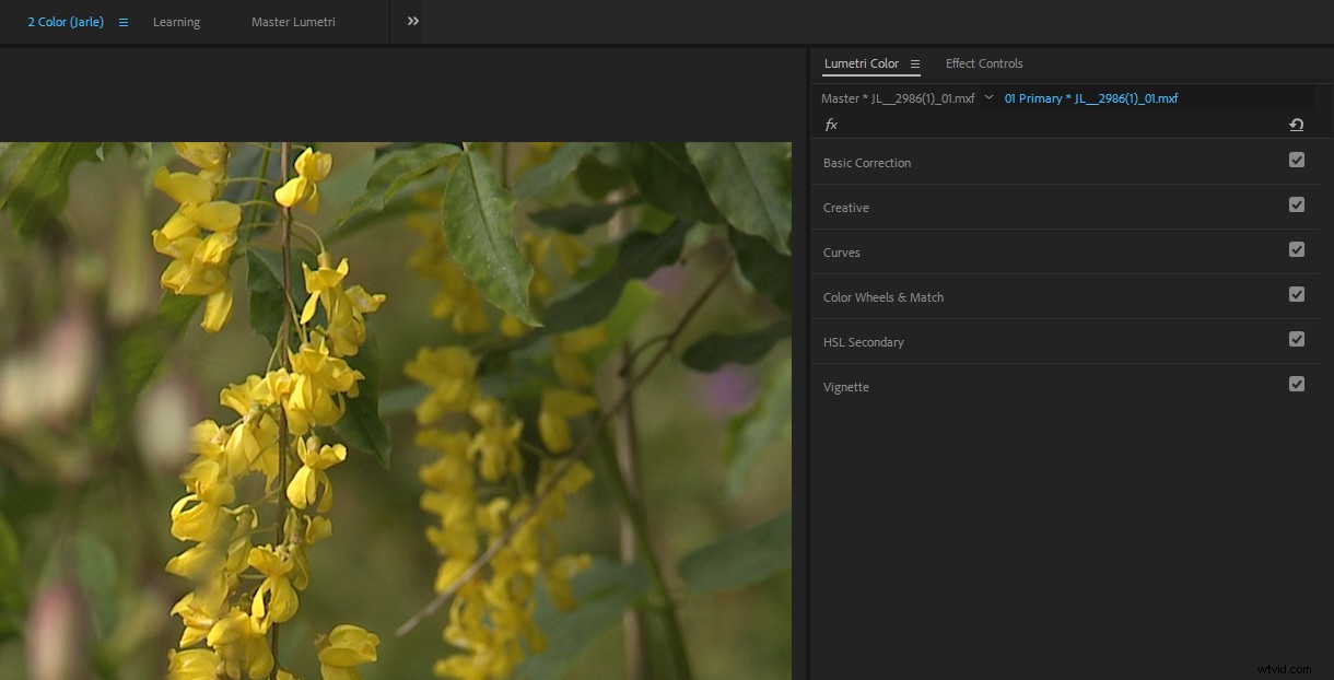 Master Color Correction in Adobe Premiere Pro: The Ultimate Guide