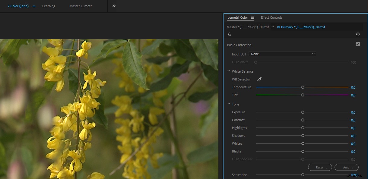 Master Color Correction in Adobe Premiere Pro: The Ultimate Guide