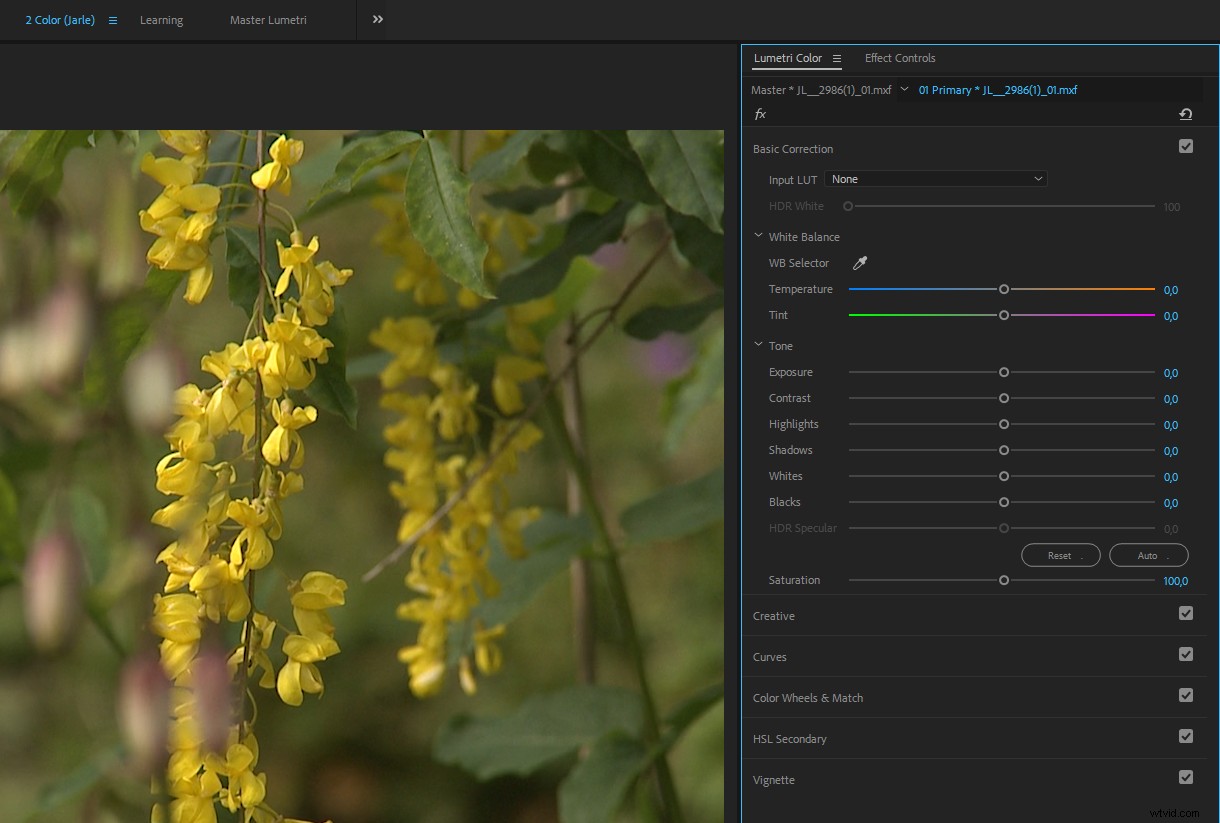 Master Color Correction in Adobe Premiere Pro: The Ultimate Guide