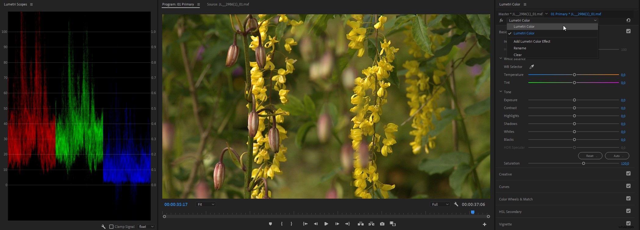 Master Color Correction in Adobe Premiere Pro: The Ultimate Guide