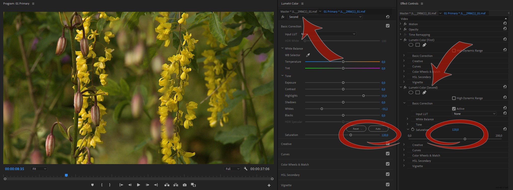 Master Color Correction in Adobe Premiere Pro: The Ultimate Guide