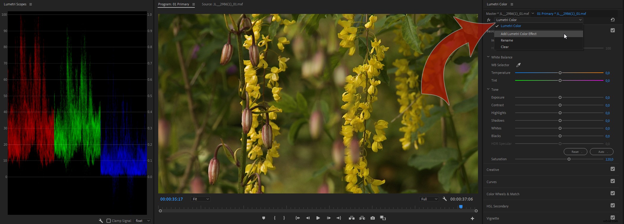 Master Color Correction in Adobe Premiere Pro: The Ultimate Guide