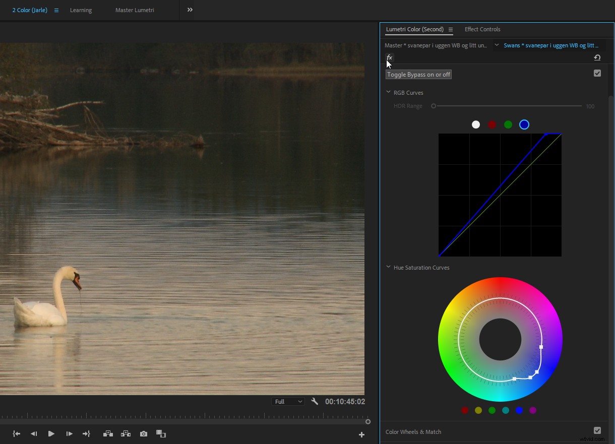 Master Color Correction in Adobe Premiere Pro: The Ultimate Guide