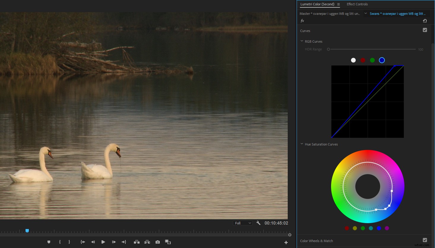 Master Color Correction in Adobe Premiere Pro: The Ultimate Guide