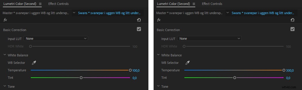 Master Color Correction in Adobe Premiere Pro: The Ultimate Guide