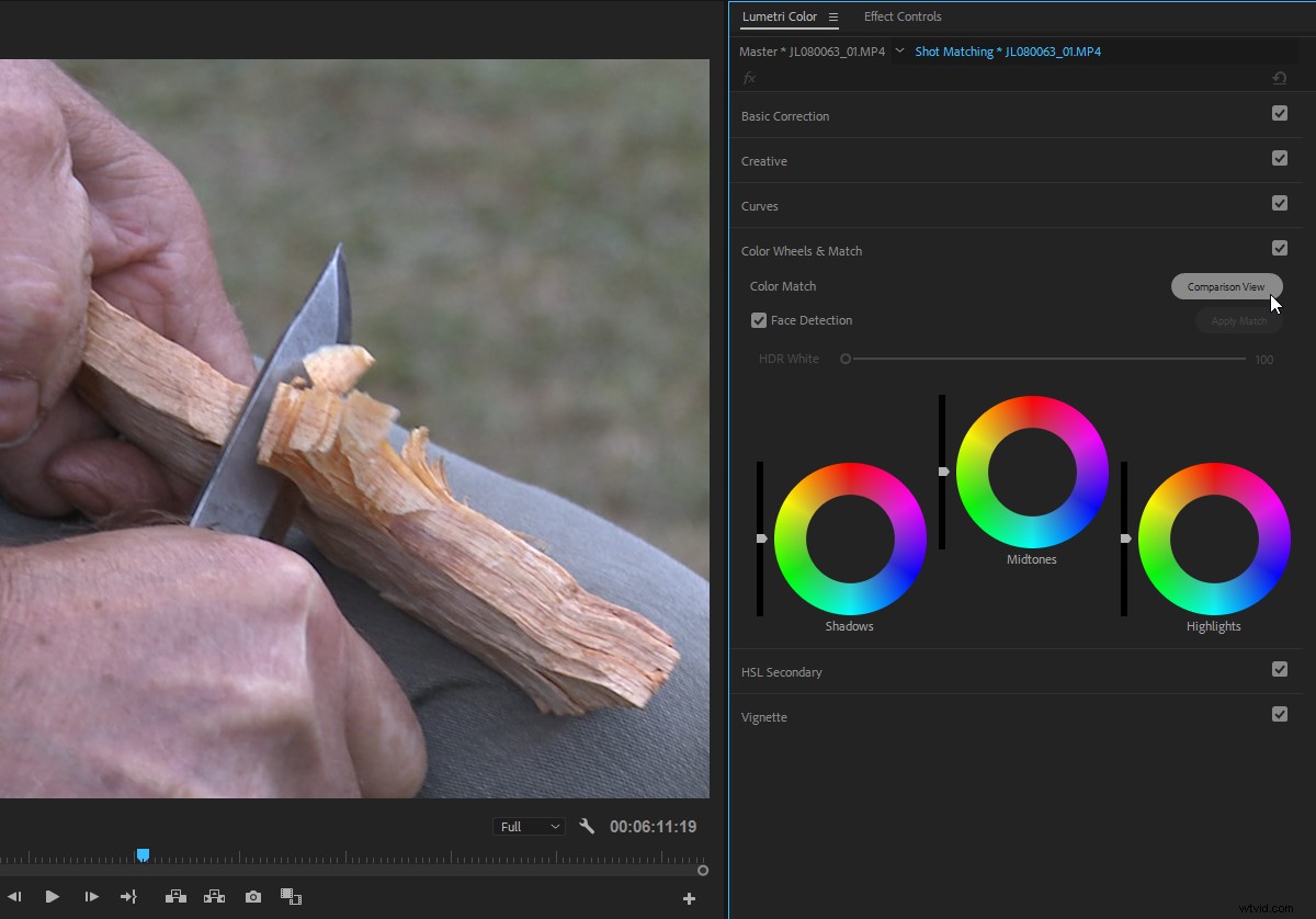 Master Color Correction in Adobe Premiere Pro: The Ultimate Guide