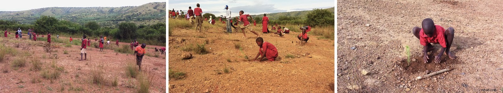 Master Color Correction in Adobe Premiere Pro: The Ultimate Guide