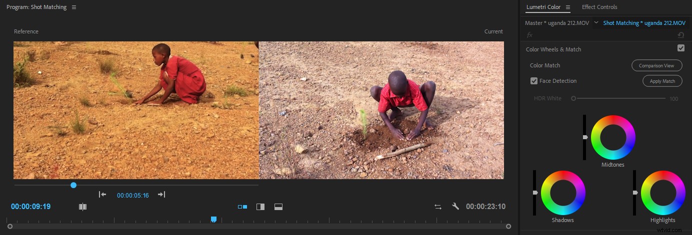 Master Color Correction in Adobe Premiere Pro: The Ultimate Guide