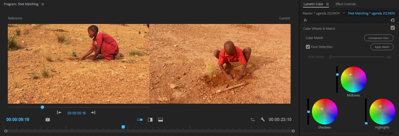 Master Color Correction in Adobe Premiere Pro: The Ultimate Guide