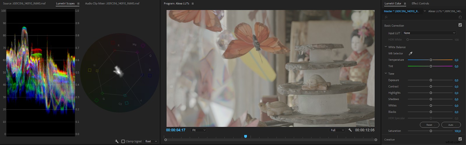 Master Color Correction in Adobe Premiere Pro: The Ultimate Guide