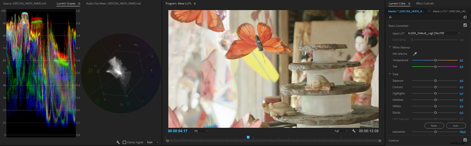 Master Color Correction in Adobe Premiere Pro: The Ultimate Guide