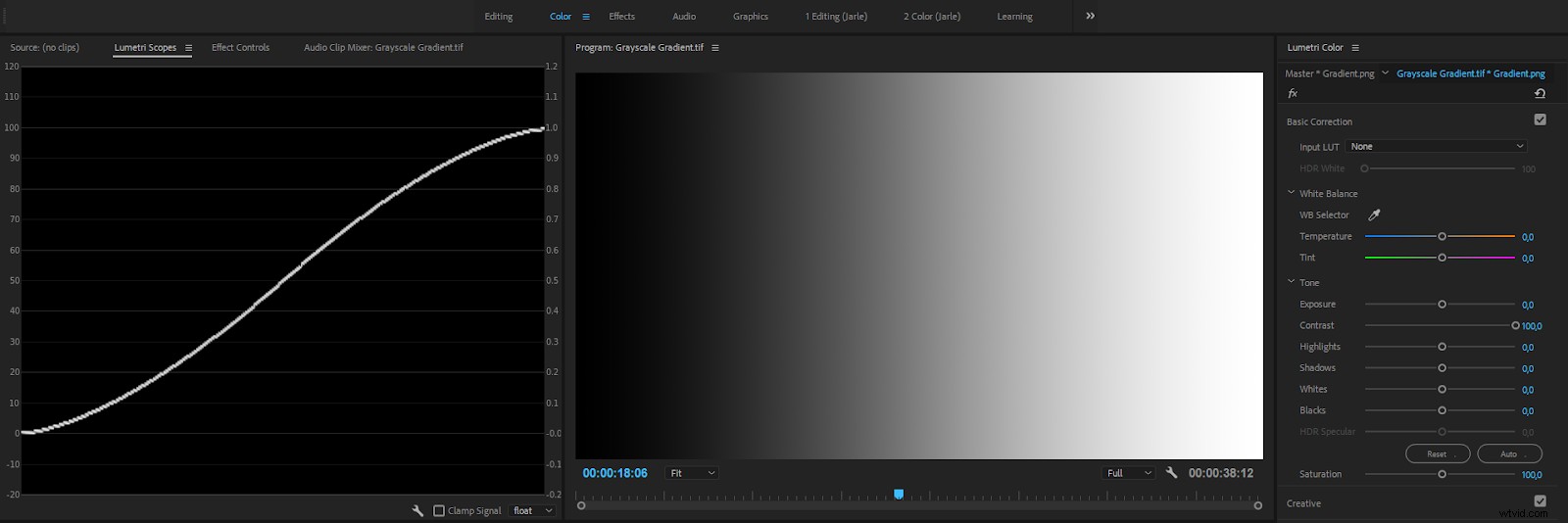 Master Color Correction in Adobe Premiere Pro: The Ultimate Guide