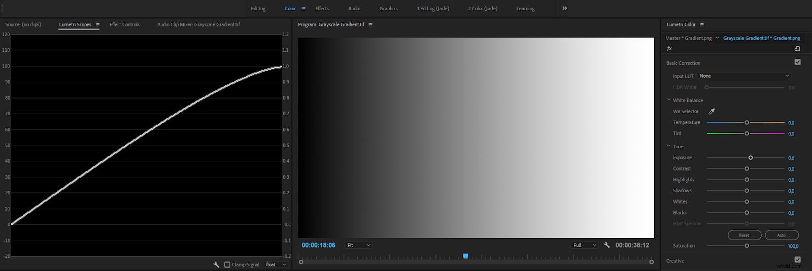 Master Color Correction in Adobe Premiere Pro: The Ultimate Guide