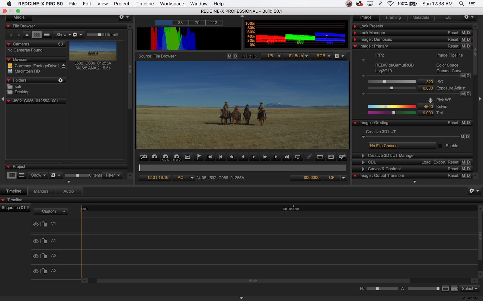 Ultimate Guide to RED Workflows: Premiere Pro, Final Cut Pro X & DaVinci Resolve